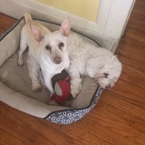 Meet your Posher, Valeria